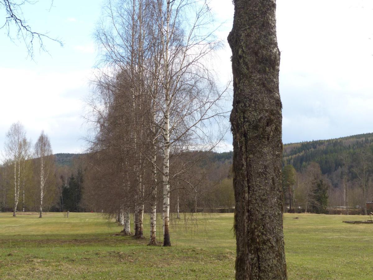 Ferienhaus Bjoerkebo Stöllet Esterno foto